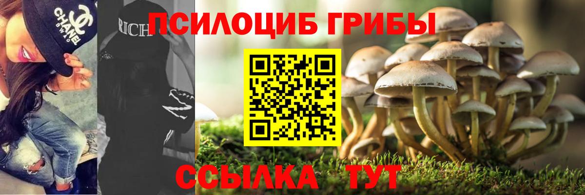 Лабытнанги  Псилоцибиновые грибы прущие грибы  Вход с VPN 